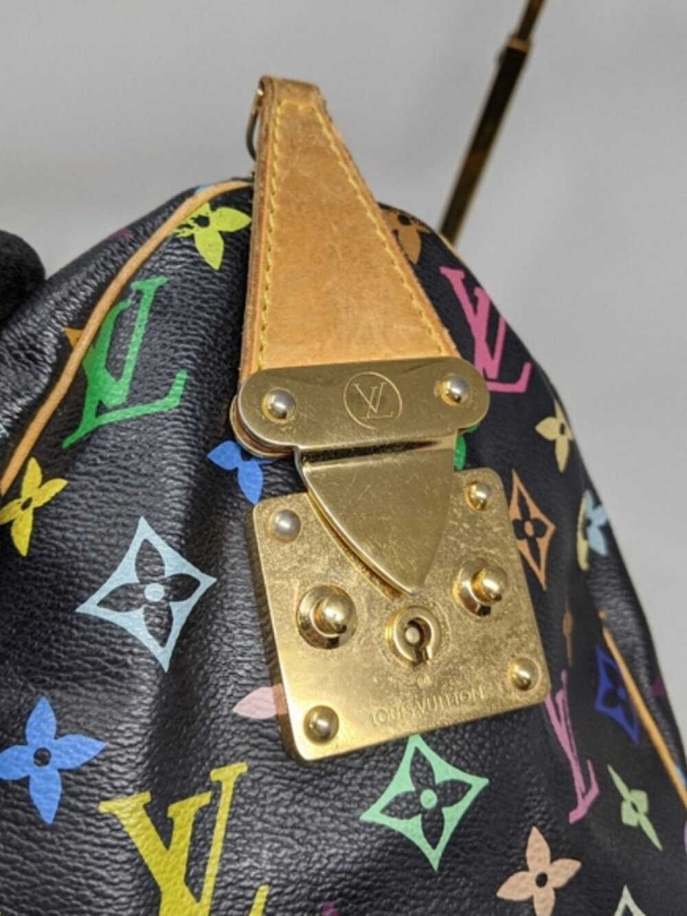 LOUIS VUITTON Multicolor Speedy 30 Tote Bag - Picture 8 of 16